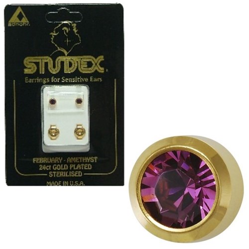 Birthstone Studs - Reg Bezel Gold - February / Amethyst